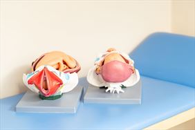 szkoła rodzenia, Dies Natalis Położne Środowiskowo - Rodzinne Kinga Kańduła, Natalia Mendowska s.c., Poznań