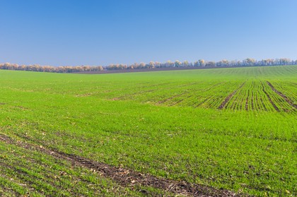 sprzedaż gruntów rolnych