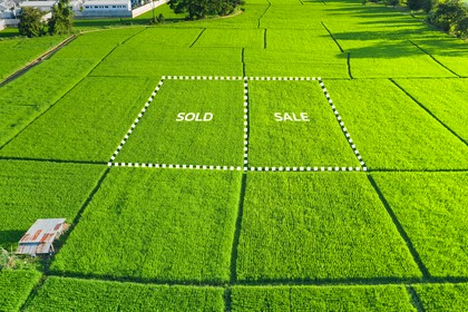 sprzedaż działek budowlanych