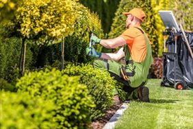 pielęgnacja ogrodu, PureGarden Adrian Adamczak, Nowa Dąbrowa