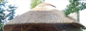 altana, Roof Reed Dachy z trzciny Trzcina dachowa Maty trzcinowe, Goplana