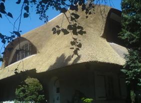 strzecha, Roof Reed Dachy z trzciny Trzcina dachowa Maty trzcinowe, Goplana