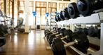 Home of Body