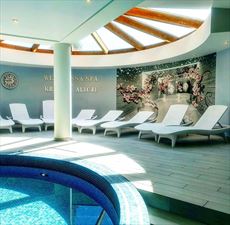hotel ze strefą SPA, Monika. Willa, SPA. Odnowa biologiczna, Nałęczów