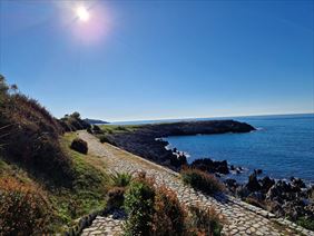 nieruchomości w calabrii, Calabria Home Nieruchomości Grzegorz Ściebura, Żagań