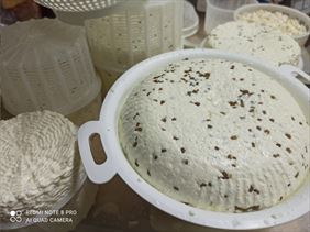 agroturystyka, Agroturystyka u Sylwii, Rzędziny