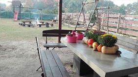 agroturystyka, Agroturystyka u Sylwii, Rzędziny