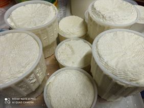 agroturystyka, Agroturystyka u Sylwii, Rzędziny