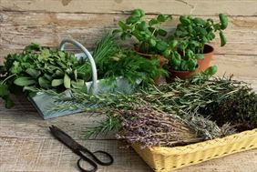 zioła, Ziołowy Kącik - sklep z ziołami, suplementami, kawą i herbatą, Szczecin