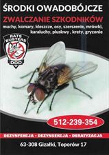 zwalczanie owadów, Ratsbusters.pl, Nowa Jabłona