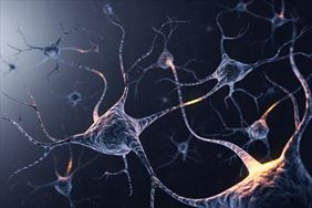 neurologia, Teresa Korwin-Piotrowska Doc. dr hab. med. spec. Neurolog ISPL, Szczecin