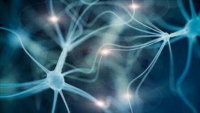 neurolog, Teresa Korwin-Piotrowska Doc. dr hab. med. spec. Neurolog ISPL, Szczecin