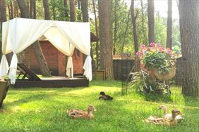 agroturystyka, Ośrodek Wypoczynkowy Owczy Brzeg, Jeleń