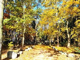 Ośrodek Wypoczynkowy Jeleń, Ośrodek Wypoczynkowy Owczy Brzeg, Jeleń