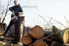 wycinka drzew, Agroverde Sp. z o.o., Banie