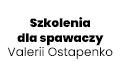 Szkolenia dla spawaczy Valerii Ostapenko, Szczecin