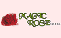 Magic Rose Spółka z ograniczoną odpowiedzialnością, Kłodzino