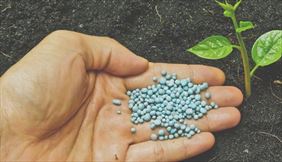 nawozy mineralne, Flormix Producent Nawozów i Oborników Ogrodniczych, Gorzów Wielkopolski