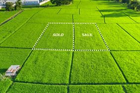 wyceny gruntów, Iwona Wielgosz Biuro obsługi nieruchomości, Szczecin