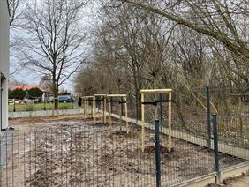 zakładanie ogrodów, Robinia Specjalistyczna Pielęgnacja, Wycinka i Nasadzenia Drzew, Warszawa