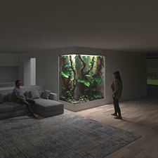 wizualizacja terrarium, NATUREINHOUSE, Warszawa