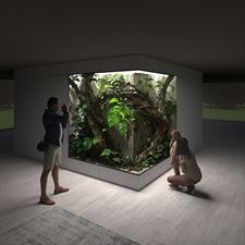 projekt terrarium, NATUREINHOUSE, Warszawa