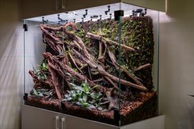 terrarium dla gekona, NATUREINHOUSE, Warszawa