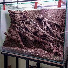 hardscape terrarium, NATUREINHOUSE, Warszawa