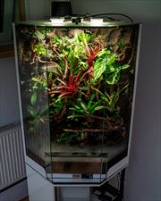 paludarium z wodospadem, NATUREINHOUSE, Warszawa