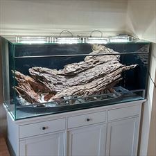 aranżacja korzenna terrarium, NATUREINHOUSE, Warszawa