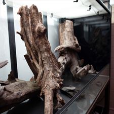 hardscape terrarium, NATUREINHOUSE, Warszawa