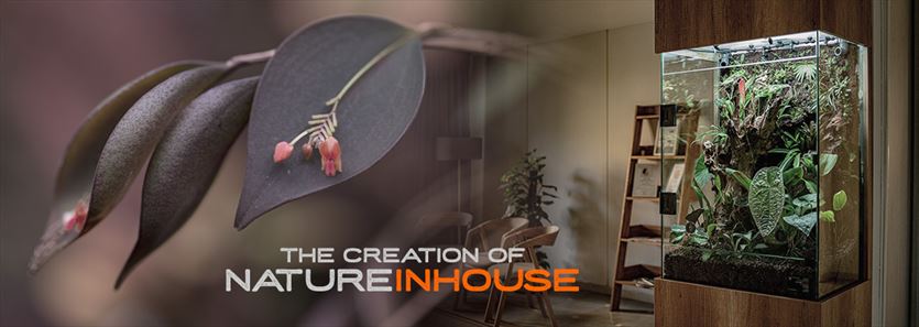 Przestrzenie dla miłośników natury w domowym otoczeniu, NATUREINHOUSE, Warszawa