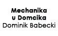 Mechanika u Domcika Dominik Babecki, Goszczyce Poświętne