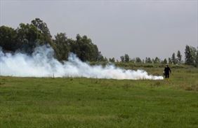 zwalczanie komarów, Evander Bartosz Kolasiński, Pruszków