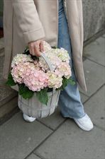 kwiaty, Bukieciarnia Kwiaty Doniczkowe Florystyka, Warszawa
