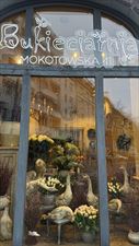 kwiaty, Bukieciarnia Kwiaty Doniczkowe Florystyka, Warszawa