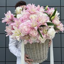 kwiaty, Bukieciarnia Kwiaty Doniczkowe Florystyka, Warszawa