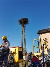 elektryk, DuoVolt - Energetyka, Awarie Elektryczne, Brwilno Dolne