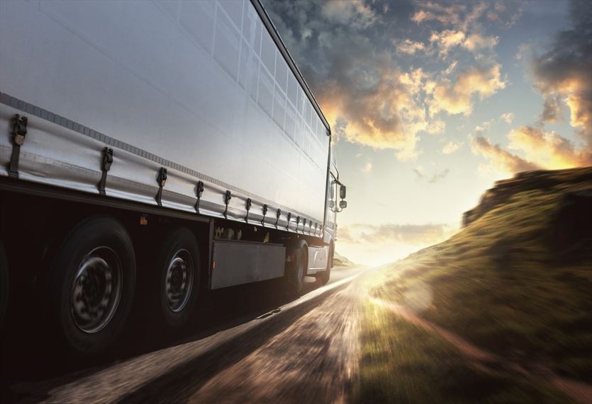 Transport krajowy i międzynarodowy, w tym ADR, chłodniczy czy kontenerowy, Strykowski PHU Sławomir Strykowski, Grzędy