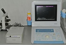 leczenie zwierząt, Marta Jastrzębska Przychodnia Weterynaryjna, Warszawa