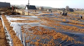 budowa płyty fundamentowej, Termico Janusz Prusiński, Borowie