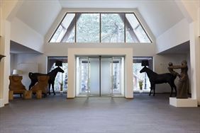 drzwi przesuwne automatyczne, Tomador Usługi Elektryczno-Elektroniczne Marcin Piotrowski, Radom