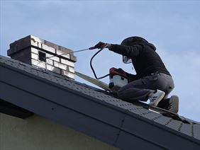 Usuwanie Gniazd Os, Pest ExTerminator Siedlce, Siedlce