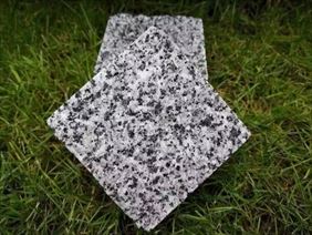 kostka szara, Light Project Zenon Lisicki, Marki