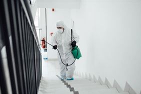 dezynfekcja, Tedan Sp. z o.o., Warszawa