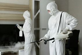 usługi ddd, Budrys Łada R., Warszawa