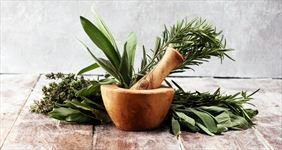 lekarz, Ewa Staszczyk Praktyka Lekarska, Warszawa