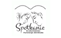 Spotkanie Poradnia Małżeńska i Mediacyjna Joanna Dawidczyk, Ostrołęka
