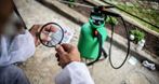 Tedan Sp. z o.o., deratyzacja, dezynfekcja, odkomarzanie, Warszawa