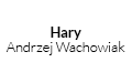 Hary Andrzej Wachowiak, Bieniewice